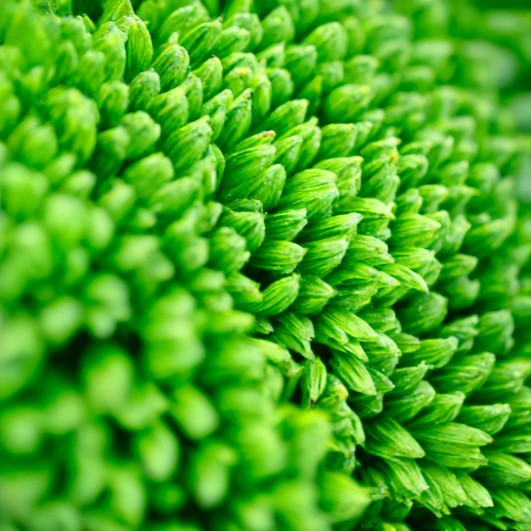 IR Coatings Application Process